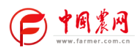 中国农网